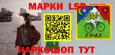 сатива Новозыбков
