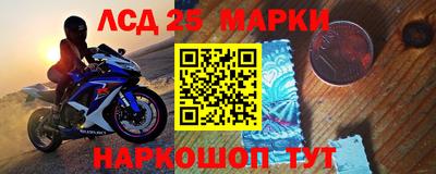 сатива Новозыбков