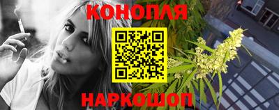 сатива Новозыбков