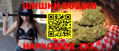 сатива Новозыбков