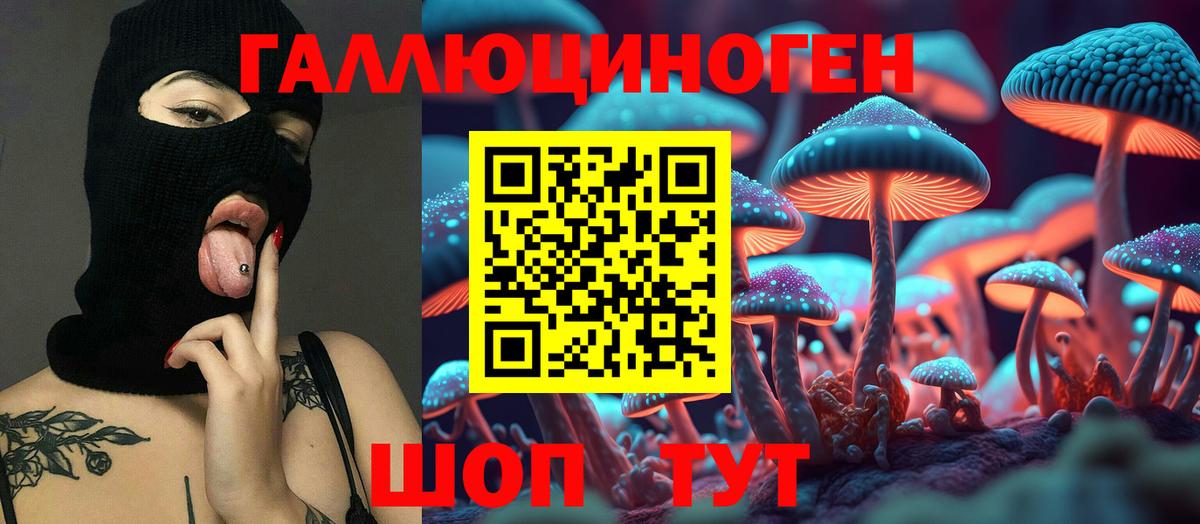 Псилоцибиновые грибы Psilocybe  Вход с VPN  как найти   Тамбов 