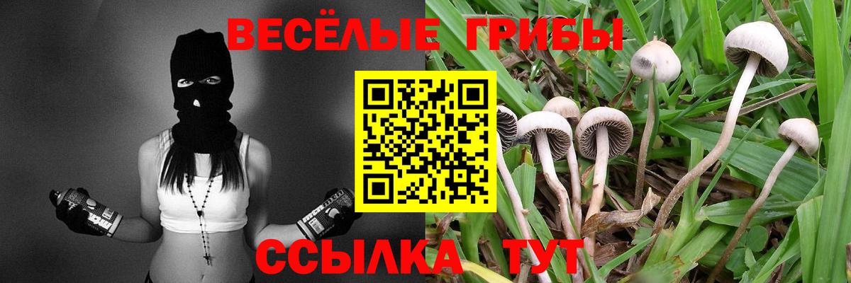 Псилоцибиновые грибы мухоморы Тамбов